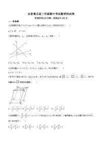 福建省永春重点中学2023-2024学年高二上学期11月期中数学试题（含答案）
