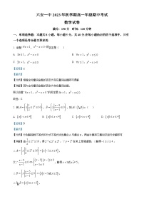 2024六安一中高一上学期期中考试数学试题含解析