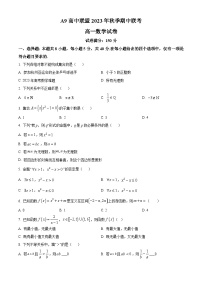 2024湖北省A9高中联盟高一上学期期中联考数学试卷含解析