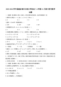 2023-2024学年福建省漳州市部分学校高二上学期11月期中联考数学试题（含解析）