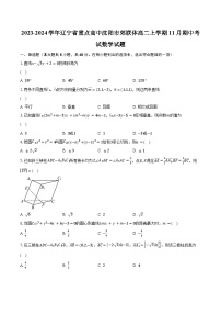 2023-2024学年辽宁省重点高中沈阳市郊联体高二上学期11月期中考试数学试题（含解析）