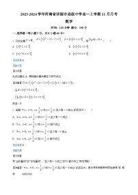 河南省济源市高级中学2023-2024学年高一上学期11月月考数学试题（解析版）