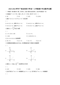 2023-2024学年广东省深圳中学高一上学期期中考试数学试题(含解析）