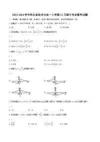 2023-2024学年河北省沧州市高一上学期11月期中考试数学试题(含解析）