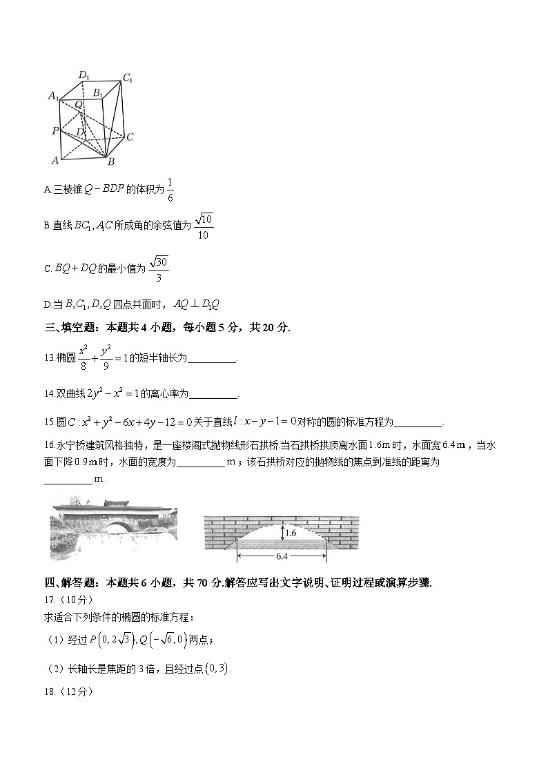 内蒙古部分名校2023-2024学年高二上学期期中联合考试数学试题03