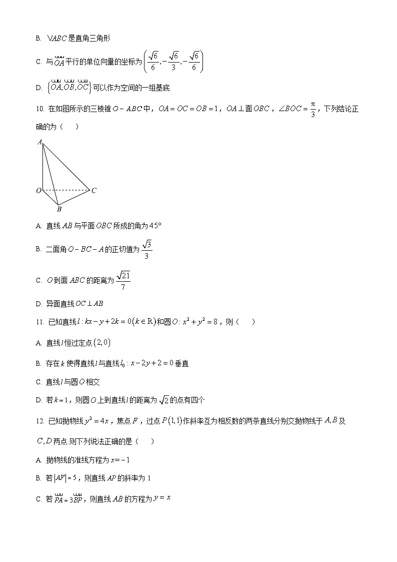 2024山东省普高大联考高二上学期11月联合质量测评试题数学含解析第3页