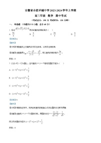 安徽省合肥市合肥卓越中学2023-2024学年高二上学期期中数学试题（Word版附解析）