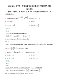 安徽省合肥市重点中学2023-2024学年高二上学期期中联考数学试题（Word版附解析）