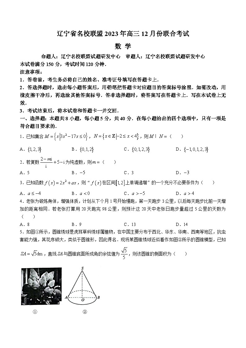 2024辽宁省名校联盟高三上学期12月联合考试数学含解析01