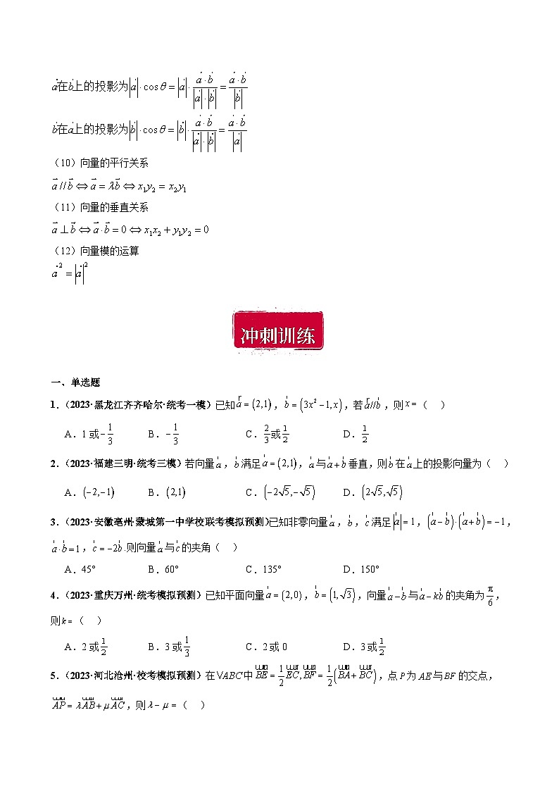 专题03 平面向量小题综合-备战2024年数学新高考一轮复习之专题知识归纳和题型技巧大综合02