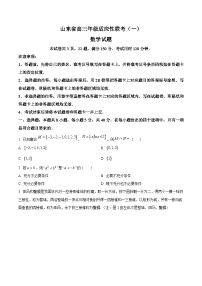 山东省德州市2024届高三上学期适应性联考（一）数学试题