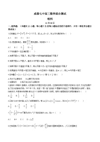 四川省成都市第七中学2023-2024学年高三上学期理科数学测试题