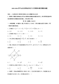 2023-2024学年山东省青岛市高三上学期期中数学模拟试题（含解析）