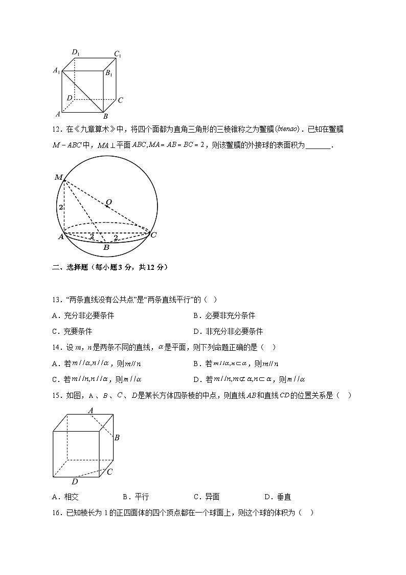 2023-2024学年上海市浦东新区高二上学期期中数学模拟试题（含解析）02