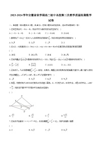 2023-2024学年安徽省秋学期高二皖中名校第三次教学质量检测数学试卷（含解析）