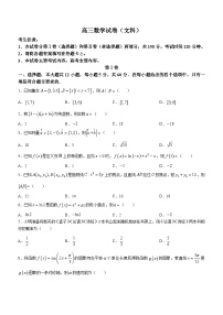 青海、宁夏部分名校2024届高三上学期调研考试文科数学试题