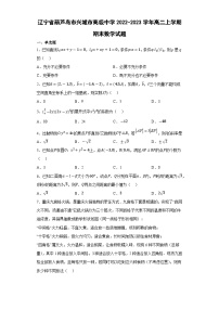 辽宁省葫芦岛市兴城市高级中学2022-2023学年高二上学期期末数学试题（学生版）