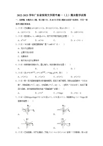 2022-2023学年广东省深圳大学附中高一（上）期末数学试卷