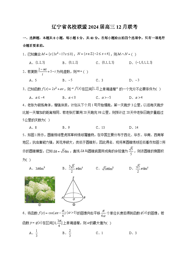 辽宁省名校联考（东北三省联考）2024届高三上学期12月联考数学试卷含解析01