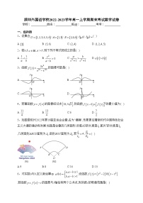 深圳外国语学校2022-2023学年高一上学期期末考试数学试卷(含答案)