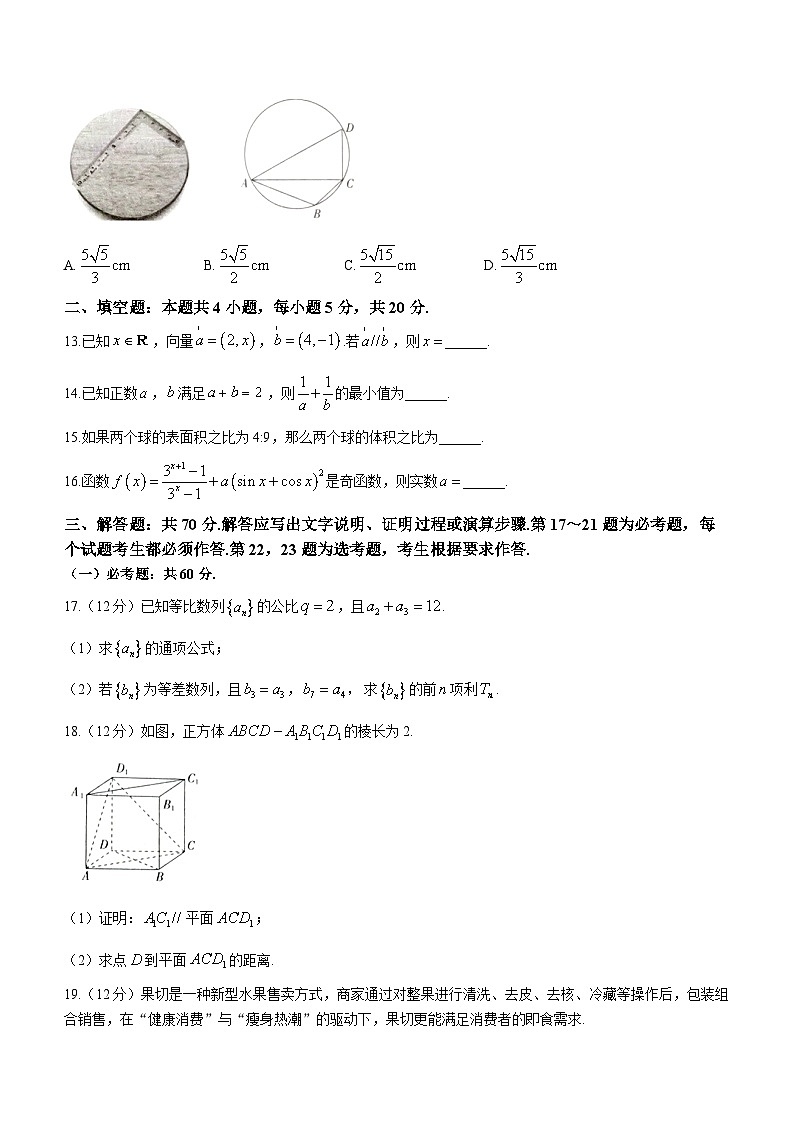 2024届西藏自治区拉萨市高三上学期第一次模拟考试文科数学试题03