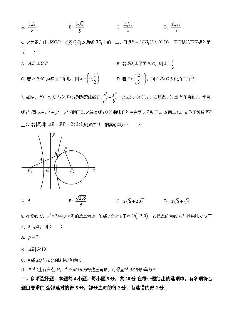 2024重庆市缙云教育联盟高二上学期12月月考试题数学含解析第2页