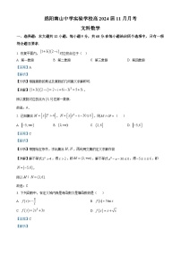 四川省绵阳南山中学实验学校2024届高三（补习班）上学期11月月考数学（文）试题（Word版附解析）