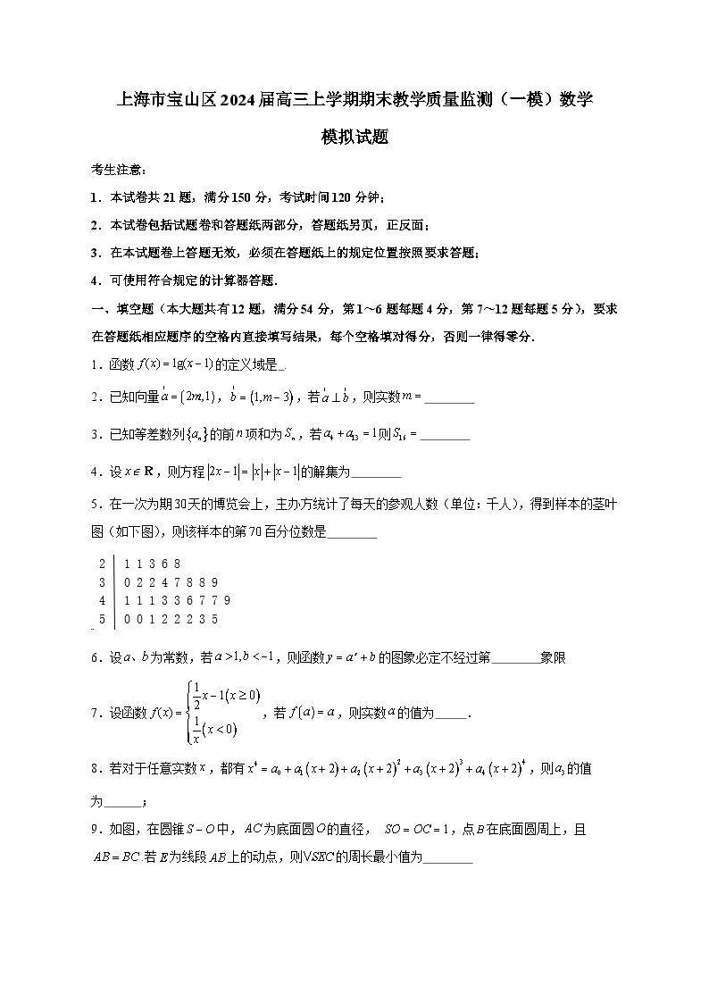 上海市宝山区2024届高三上学期期末教学质量监测（一模）数学模拟试题（含答案）01