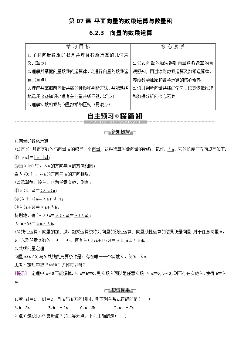 人教A版2024年高一数学寒假提高讲义 第07课 平面向量的数乘运算与数量积（2份打包，原卷版+教师版）01