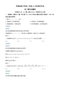 广东省深圳市罗湖高级中学2023-2024学年高二上学期12月阶段性考试数学试题（解析版）