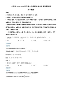 广东省深圳市龙华区2022-2023学年高一上学期期末数学试题（含答案详解）
