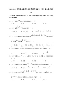 2022-2023学年湖北省武汉市常青联合体高二（上）期末数学试卷（含答案详解）