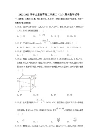 2022-2023学年山东省青岛二中高二（上）期末数学试卷（含答案详解）