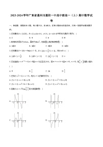 2023-2024学年广东省惠州市惠阳一中高中部高一（上）期中数学试卷（含解析）