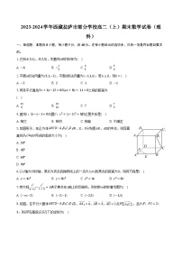 2023-2024学年西藏拉萨市部分学校高二（上）期末数学试卷（理科）（含解析）