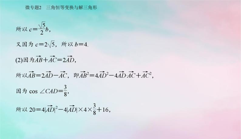 2024届高考数学二轮专题复习与测试第一部分专题一三角函数与平面向量微专题2三角恒等变换与解三角形课件07