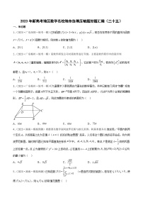 2023年新高考地区数学名校地市选填压轴题好题汇编（二十五）