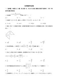 陕西省榆林市十校联考2023-2024学年高三上学期12月月考数学试题（文）（Word版附解析）