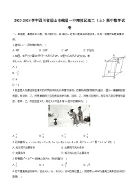 2023-2024学年四川省眉山市峨眉一中南校区高二（上）期中数学试卷（含解析）