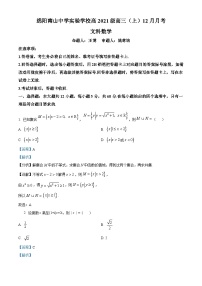 四川省绵阳市南山中学实验学校2024届高三上学期12月月考数学试题（Word版附解析）