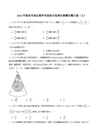 2024年新高考地区数学名校地市选填压轴题好题汇编（七）