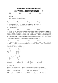 四川省绵阳市南山中学实验学校2023-2024学年高二上学期期末模拟数学试卷（一）(含答案)