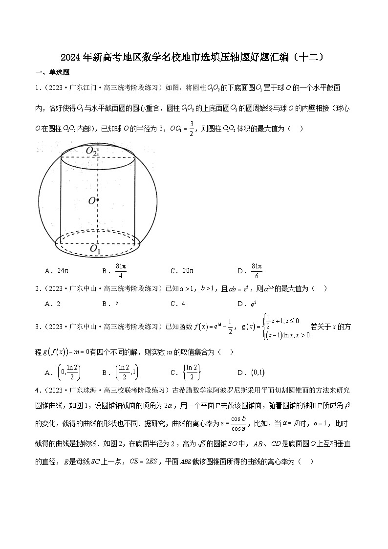 2024年新高考地区数学名校地市选填压轴题好题汇编（十二）01