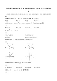 2023-2024学年河北省NT20名校联合体高一上学期12月月考数学试卷（含解析）