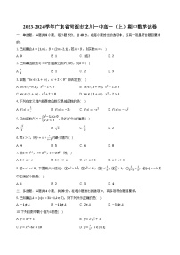 2023-2024学年广东省河源市龙川一中高一（上）期中数学试卷(含解析）