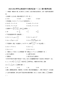 2023-2024学年山东省济宁市兖州区高一（上）期中数学试卷(含解析）