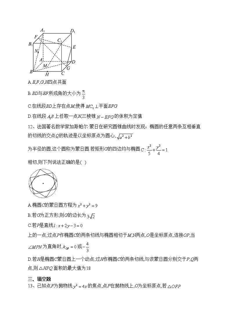 山东省新泰市第一中学2023-2024学年高二上学期第二次质量检测数学试卷(含答案)03