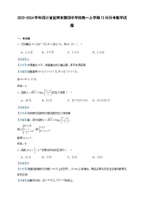 2023-2024学年四川省宜宾市第四中学校高一上学期12月月考数学试题含答案