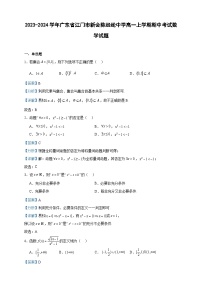 2023-2024学年广东省江门市新会陈经纶中学高一上学期期中考试数学试题含答案