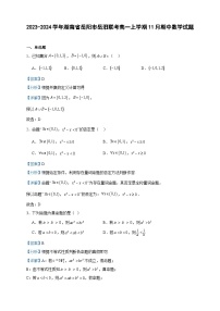 2023-2024学年湖南省岳阳市岳汨联考高一上学期11月期中数学试题含答案